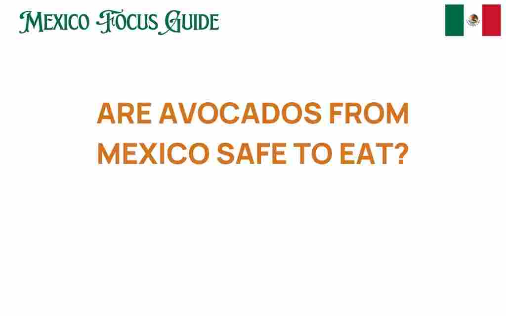 are-avocados-from-mexico-safe-to-eat