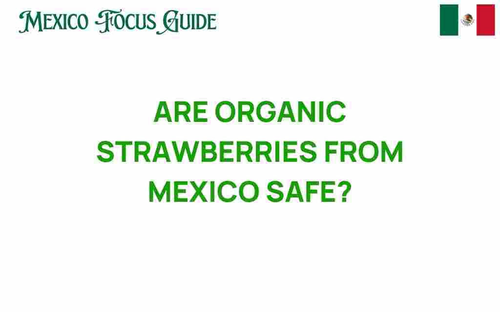 organic-strawberries-mexico-safety