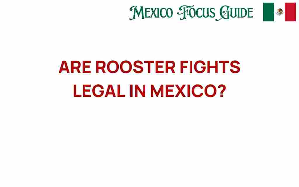 are-rooster-fights-legal-in-mexico