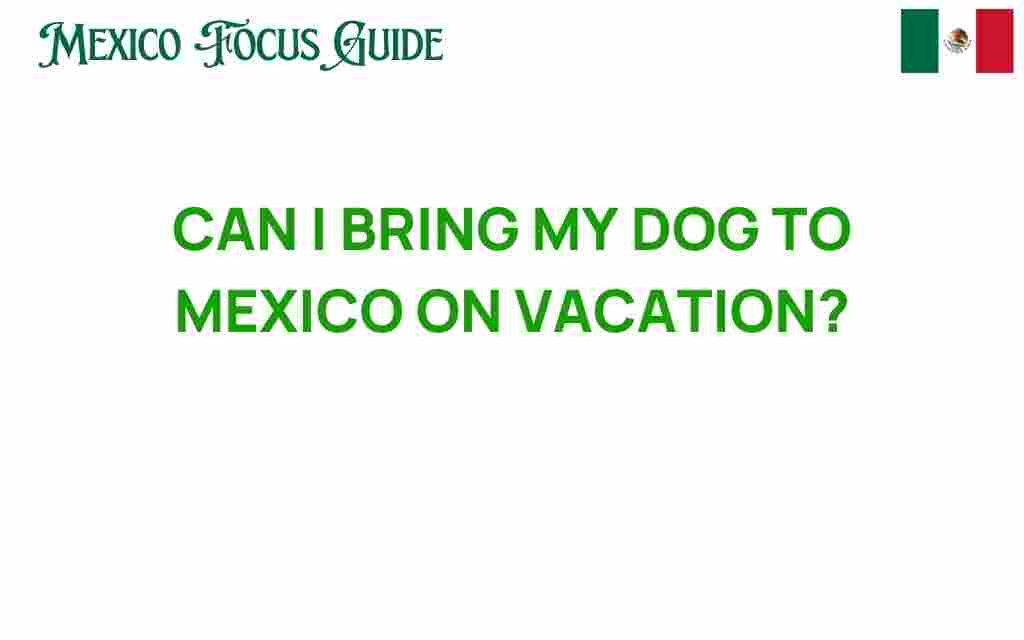 can-i-bring-my-dog-to-mexico