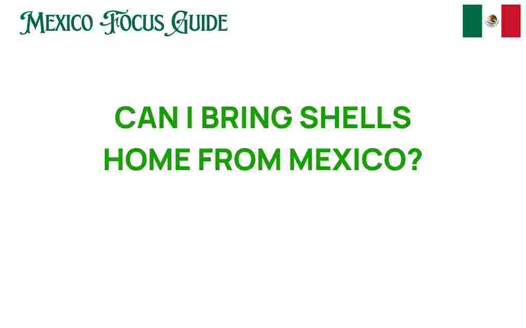 can-i-bring-shells-home-from-mexico