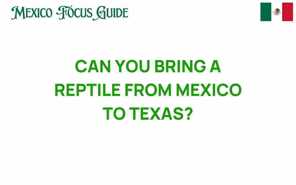 can-you-bring-reptile-mexico-texas