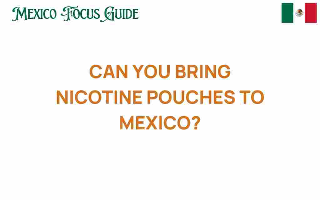 can-you-bring-nicotine-pouches-to-mexico
