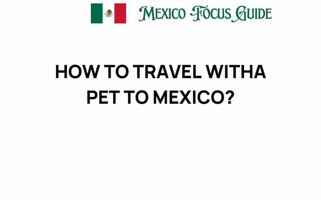traveling-with-pet-to-mexico