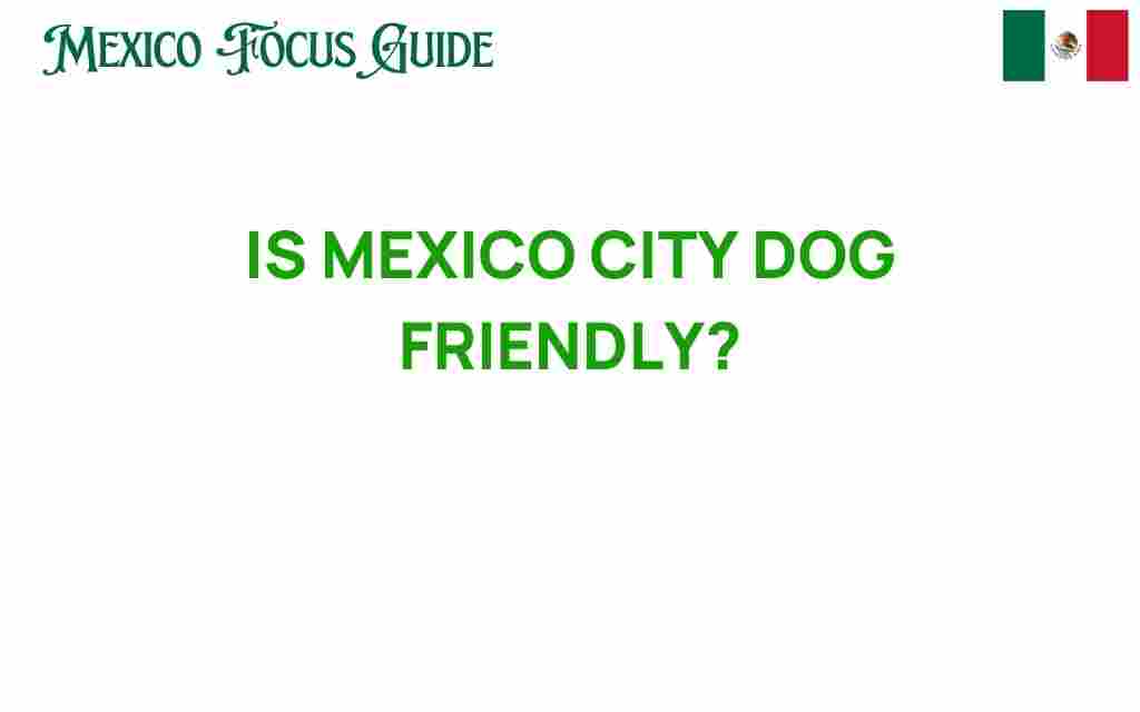 is-mexico-city-dog-friendly