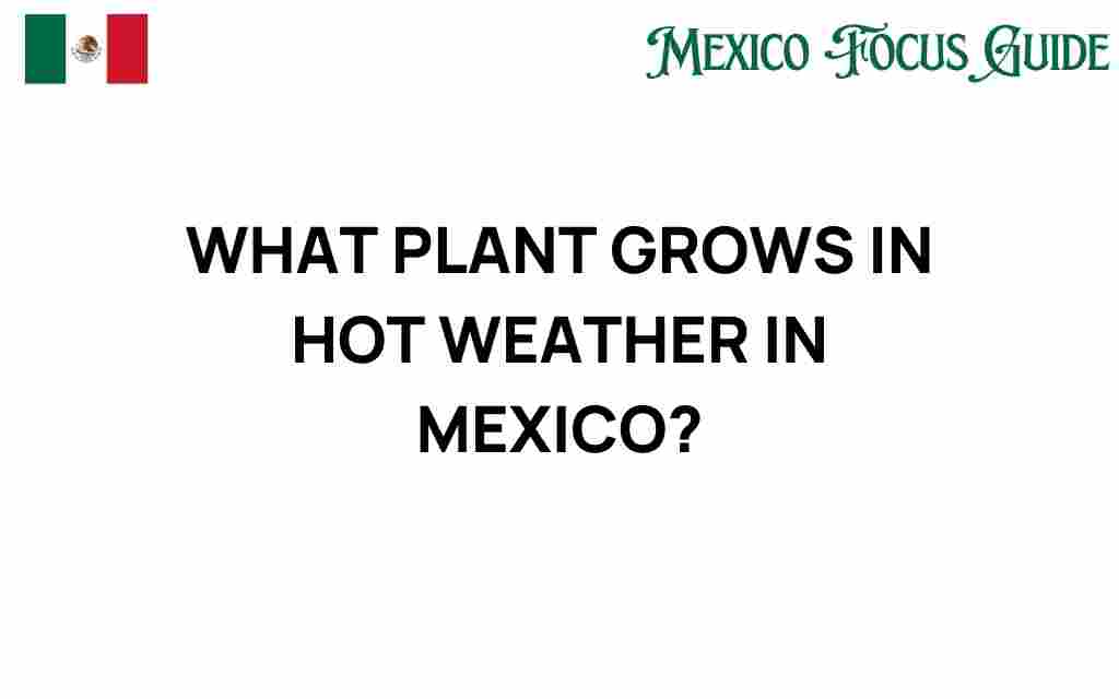 hot-weather-plants-mexico