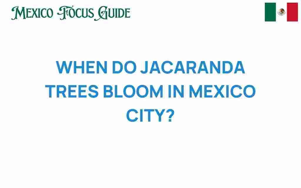 jacaranda-trees-bloom-mexico-city