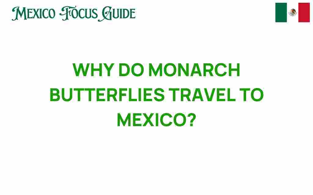 monarch-butterflies-migrate-to-mexico